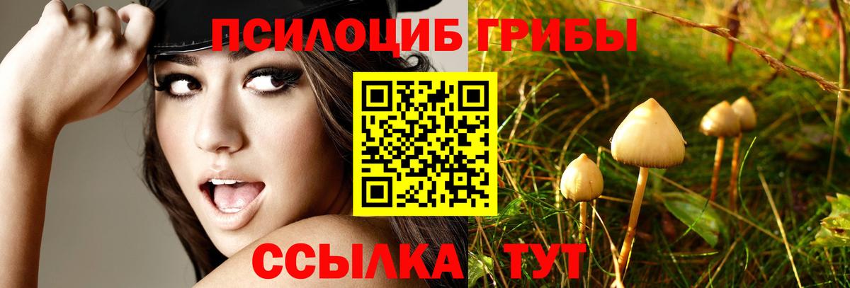 как найти закладки  Галлюциногенные грибы ЛСД  Вход с VPN  Майкоп 