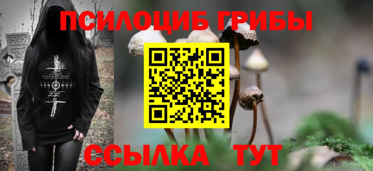 Галлюциногенные грибы ЛСД Майкоп